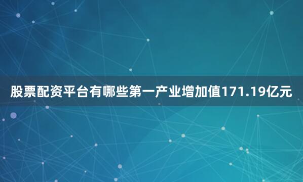 股票配资平台有哪些第一产业增加值171.19亿元
